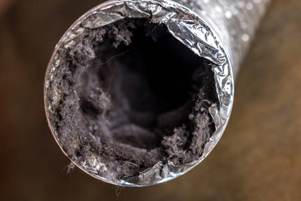 Best General Air Duct Cleaning  in Point Baker, FL